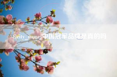 芜湖中国冠军品牌是真的吗