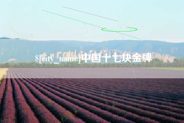 芜湖中国十七块金牌