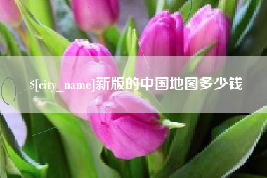 芜湖新版的中国地图多少钱