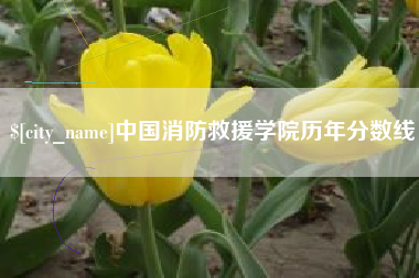 芜湖中国消防救援学院历年分数线