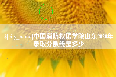 芜湖中国消防救援学院山东2020年录取分数线是多少