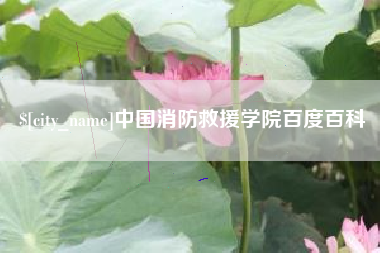 芜湖中国消防救援学院百度百科