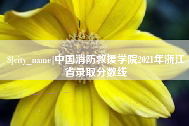 芜湖中国消防救援学院2021年浙江省录取分数线