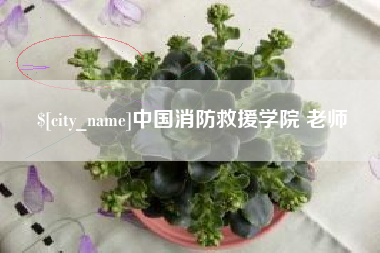 芜湖中国消防救援学院 老师