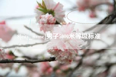 芜湖男子5000米等级标准