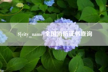 芜湖全国消防证书查询
