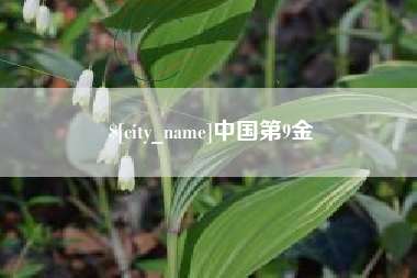 芜湖中国第9金