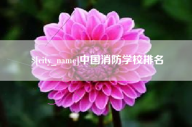 芜湖中国消防学校排名
