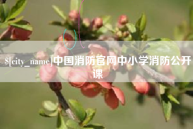 芜湖中国消防官网中小学消防公开课