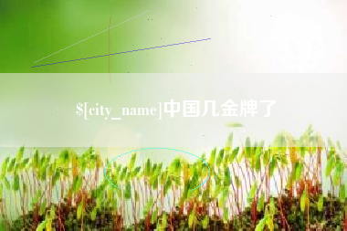 芜湖中国几金牌了