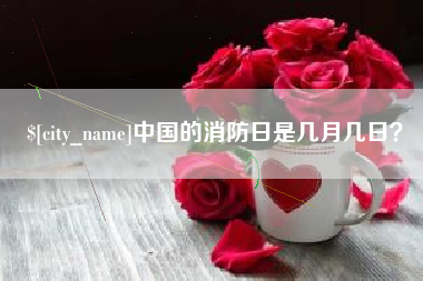 芜湖中国的消防日是几月几日？