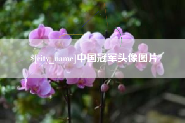 芜湖中国冠军头像图片