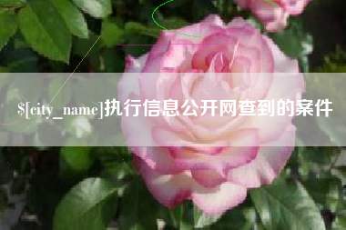 芜湖执行信息公开网查到的案件