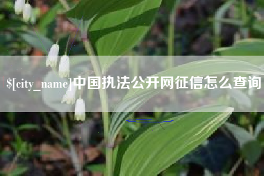 芜湖中国执法公开网征信怎么查询