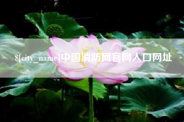 芜湖中国消防网官网入口网址