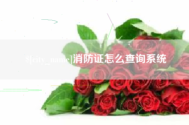 芜湖消防证怎么查询系统