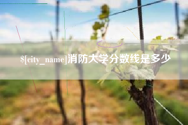 芜湖消防大学分数线是多少