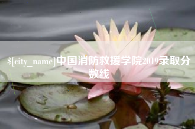 芜湖中国消防救援学院2019录取分数线