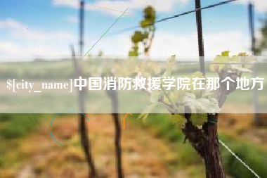 芜湖中国消防救援学院在那个地方