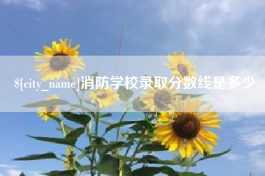 芜湖消防学校录取分数线是多少