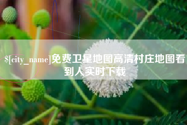 芜湖免费卫星地图高清村庄地图看到人实时下载