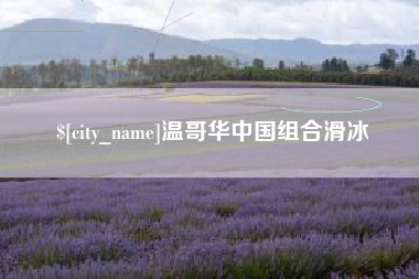芜湖温哥华中国组合滑冰