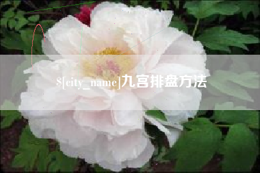 芜湖九宫排盘方法