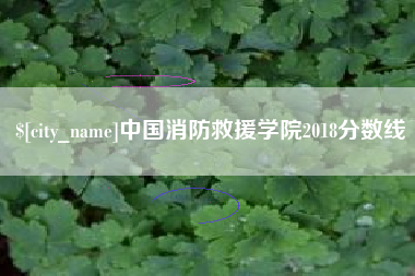 芜湖中国消防救援学院2018分数线
