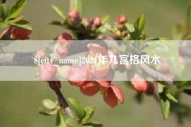芜湖2021年九宫格风水