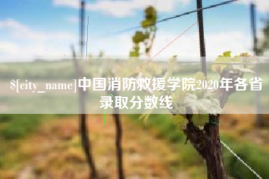 芜湖中国消防救援学院2020年各省录取分数线