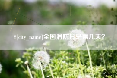 芜湖全国消防日是第几天？