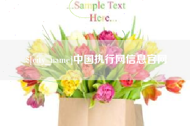 芜湖中国执行网信息官网