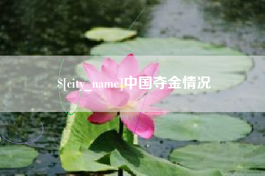 芜湖中国夺金情况