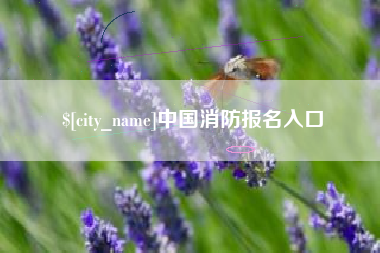 芜湖中国消防报名入口