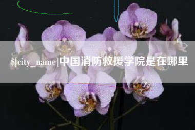 芜湖中国消防救援学院是在哪里