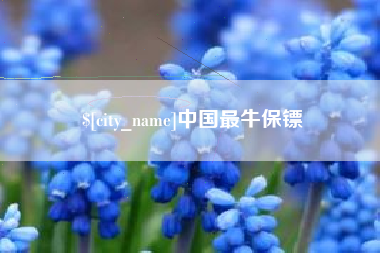 芜湖中国最牛保镖