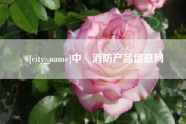 芜湖中囯消防产品信息网