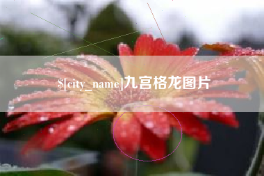 芜湖九宫格龙图片