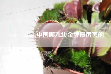 芜湖中国哪九块金牌最厉害的