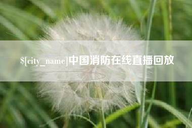 芜湖中国消防在线直播回放