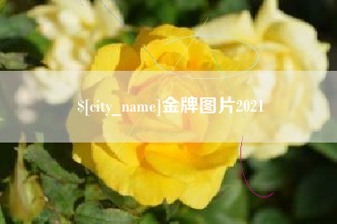 芜湖金牌图片2021