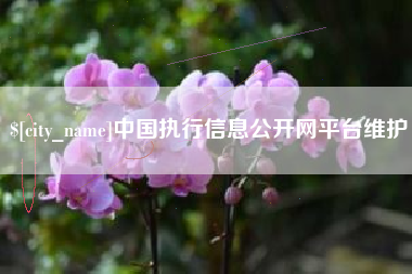 芜湖中国执行信息公开网平台维护