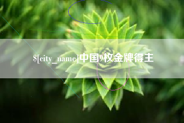 芜湖中国9枚金牌得主