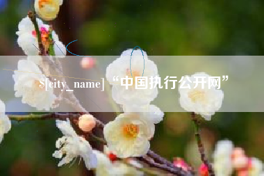 芜湖“中国执行公开网”