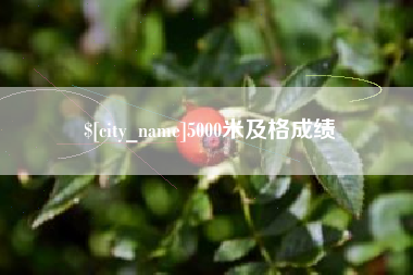 芜湖5000米及格成绩