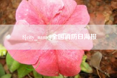 芜湖全国消防日海报