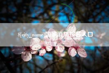 芜湖国家消防报名入口