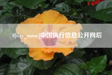 芜湖中国执行信息公开网后