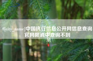 芜湖中国执行信息公开网信息查询官网限消中查询不到