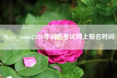 芜湖2020年消防考试网上报名时间